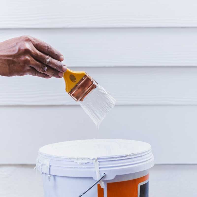 Trusted Painting Service in Elma, WA - Ale’s Cleaning Services LLC (1)